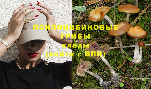 COCAINE Богданович