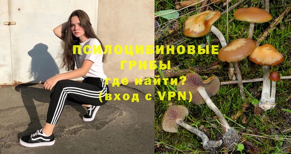 круглые Богородск